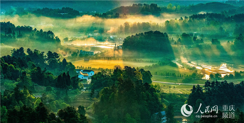 �����е��ؑc���ϴ��^(q��)���^�(zh��n)�F�������箋�������� �z