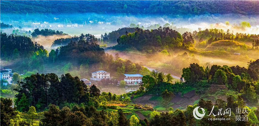 �����е��ؑc���ϴ��^(q��)���^�(zh��n)�F�������箋�������� �z