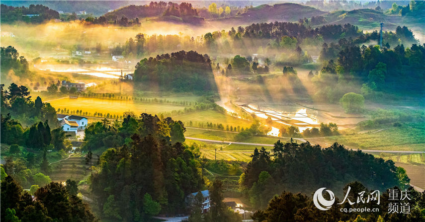 �����е��ؑc���ϴ��^(q��)���^�(zh��n)�F�������箋�������� �z