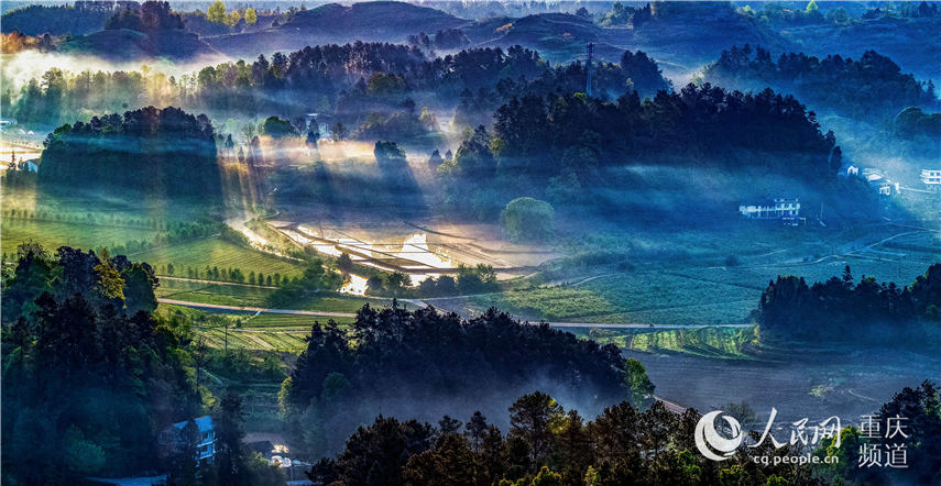 �����е��ؑc���ϴ��^(q��)���^�(zh��n)�F�������箋�������� �z