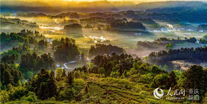 �����е��ؑc���ϴ��^(q��)���^�(zh��n)�F����(m��ng)���箋�������� �z