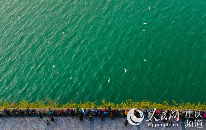 �̲�ʎ���Ľ�����������t���t�w�裬�����˱����^�B�����f�݅^(q��)ί���������D