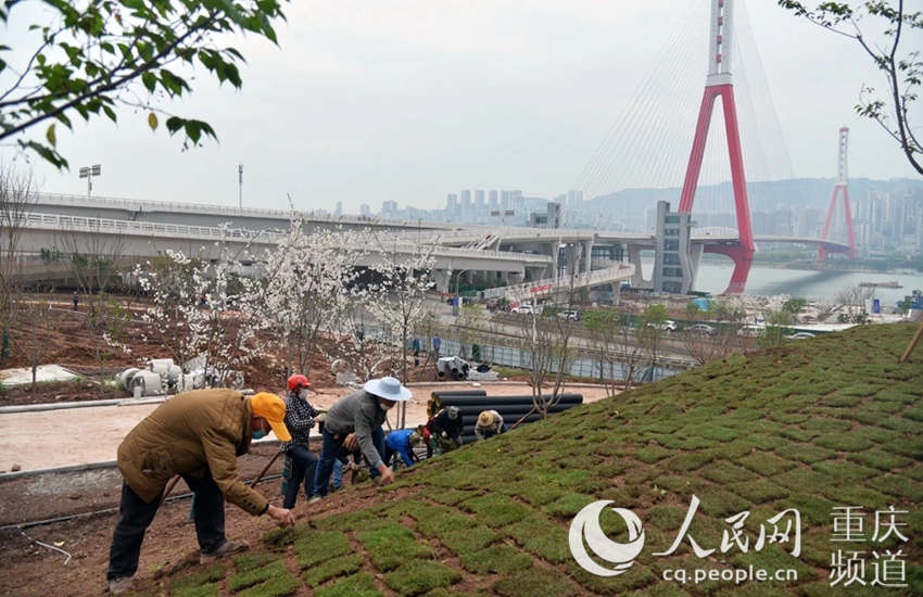 �ѻ����w�����@ʩ���F(xi��n)��(ch��ng)���f�݅^(q��)ί���������D