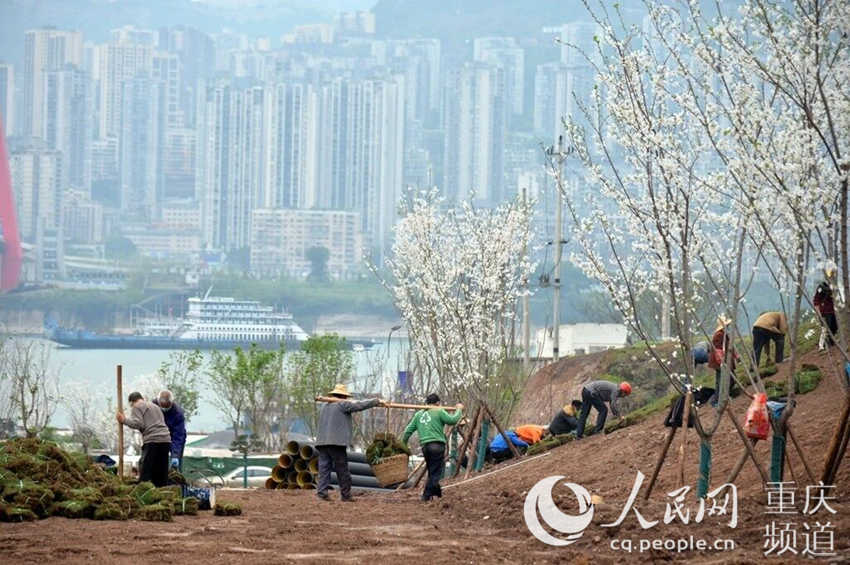 �ѻ����w�����@ʩ���F(xi��n)��(ch��ng)���f(w��n)�݅^(q��)ί���������D