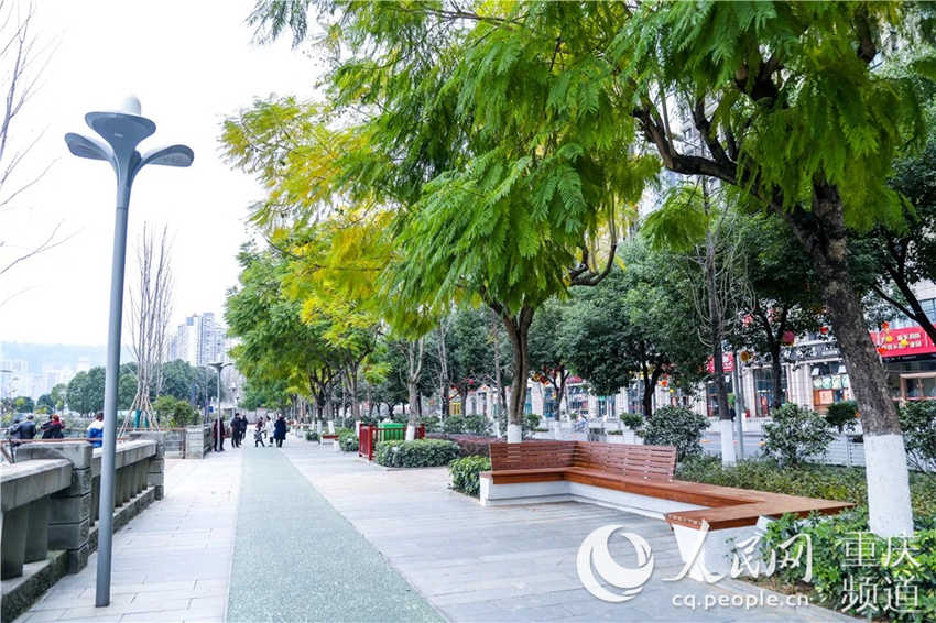 ��֮�������(l��)�V��(ch��ng)�F(xi��n)��(ch��ng)���f(w��n)�݅^(q��)ί���������D