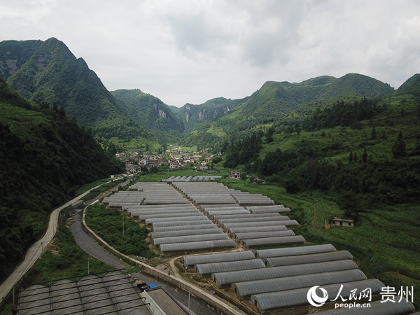 ����(ji��)��(bi��o)��(zh��n)�r(n��ng)�(sh��)�F(xi��n)�r(n��ng)�I(y��)���a(ch��n)�r(n��ng)������������� �z