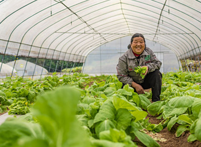 ��Ц������ÿ�