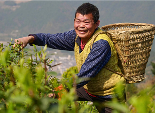 ��Ц������ÿ�