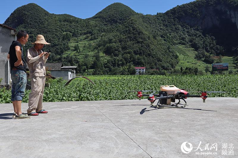 �o(w��)�˙C(j��)�w���������� �z��