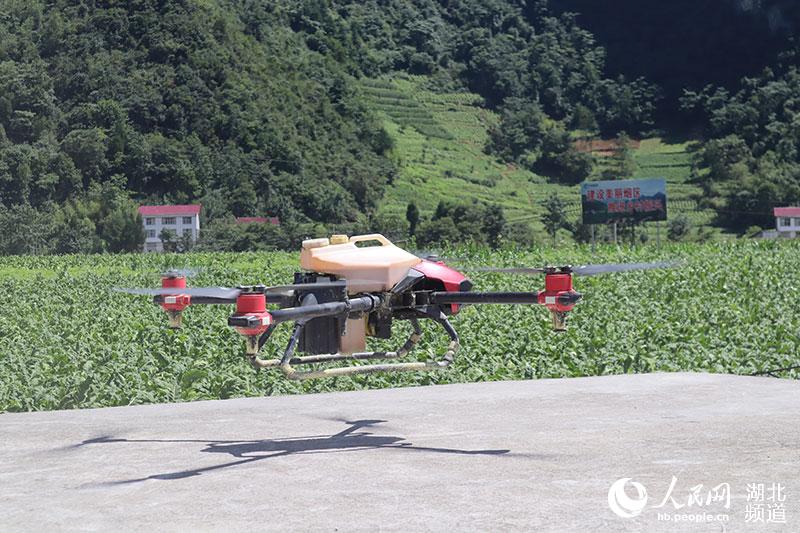 �o(w��)�˙C(j��)�w���������� �z��