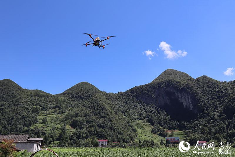 �o�˙C�w���������� �z��