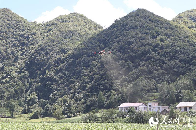 �o�˙C(j��)�w���������� �z��