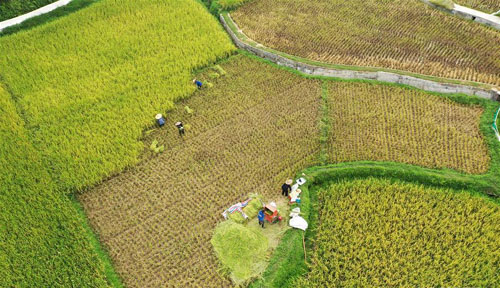 �V����������ץ�r(n��ng)�r���絾