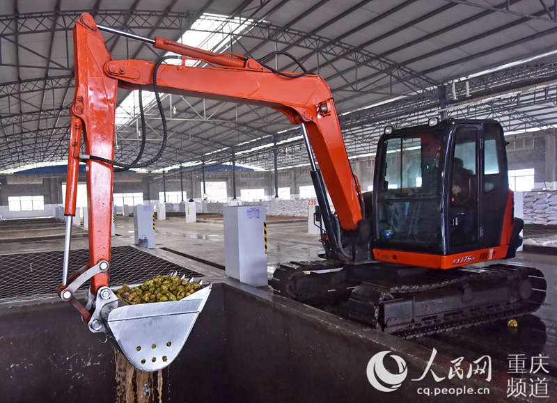 ����ե�˼��F����ԭ�ϼӹ��S�ڼӹ�������ُ������^����־�����S�Ӕz