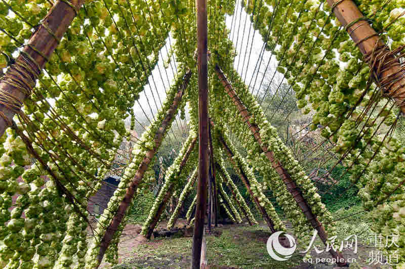 �ϼ��L(f��ng)�ɵ�����^����־��(qi��ng)���S�Ӕz