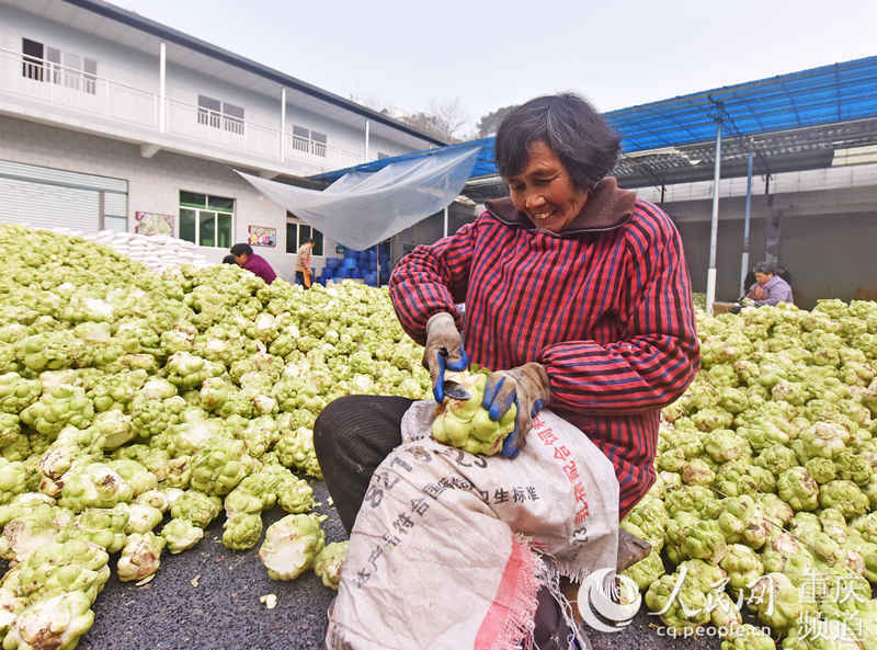 �����տ�������^ȥƤ��������־��(qi��ng)���S�Ӕz