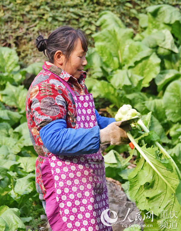 �r(n��ng)�����տ�����^����־��(qi��ng)���S�Ӕz