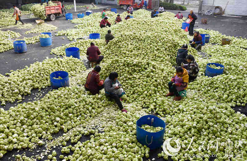 �����տ�������^ȥƤ��������־�� �S�� �z