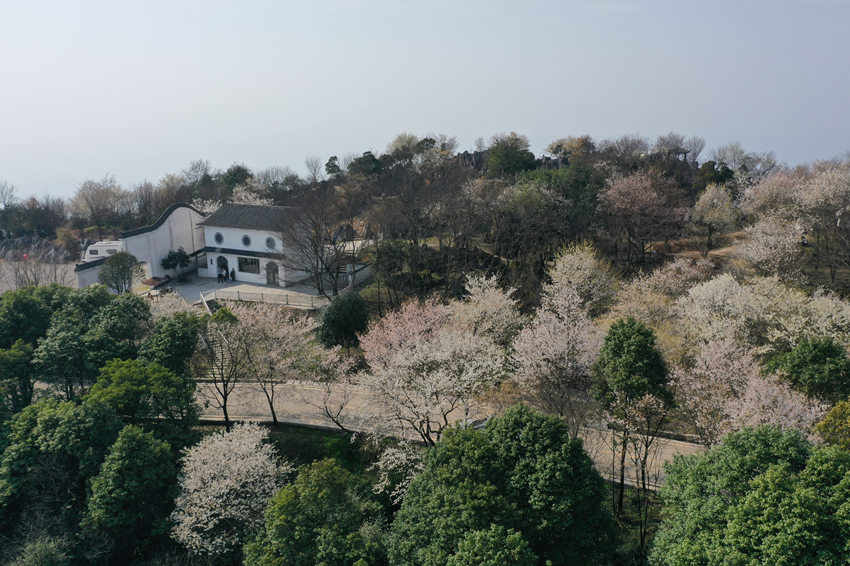 �山�^(q��)��ʢ�(zh��n)����ɽ�f��Ұ�ѻ�ӭ���`���������x�z