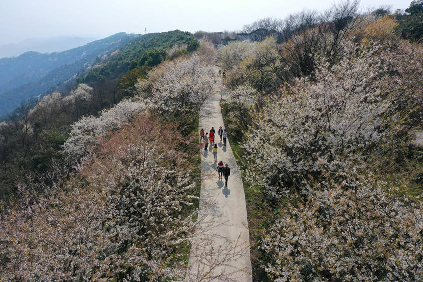 �������������ڻ����g�����ܴ���Ě�Ϣ�������x�z