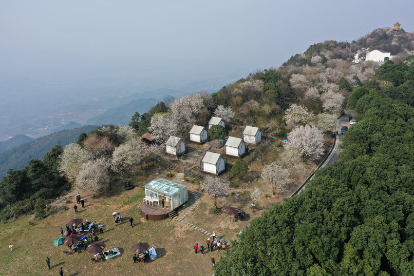 �������������ڻ����g�����ܴ���Ě�Ϣ�������x�z