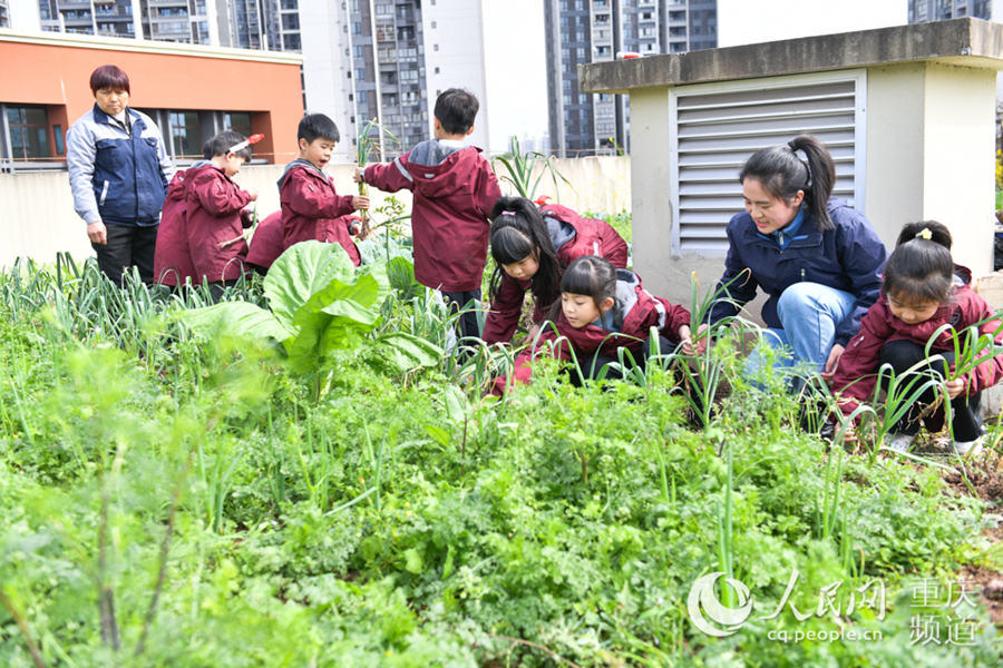 �W(xu��)������ժ�߲����u���z