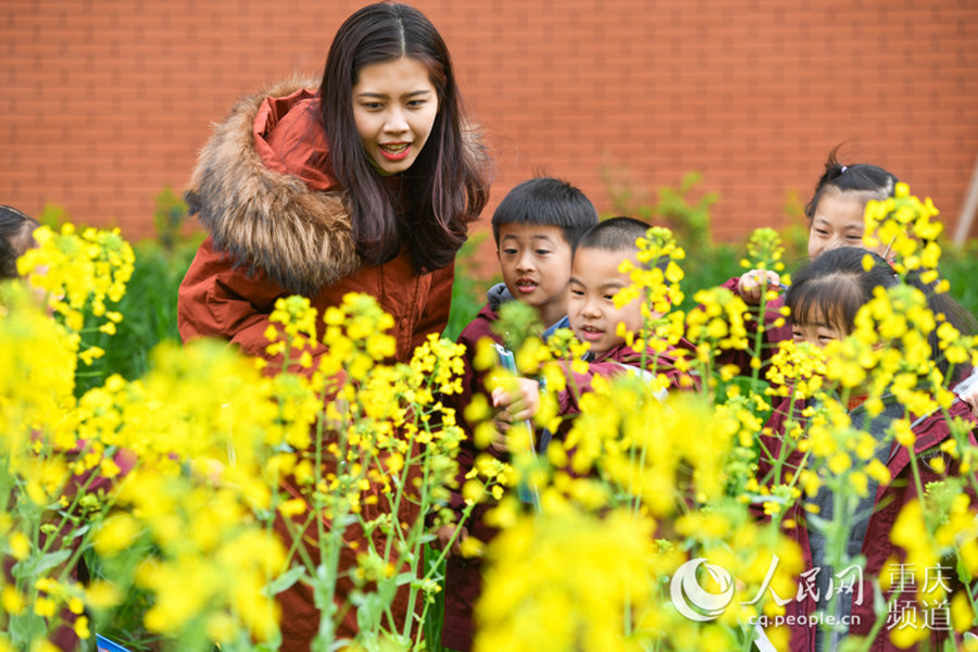 �ώ�ָ��(d��o)�W(xu��)���^���Ͳ˻�������Ȼ�Pӛ���u���z