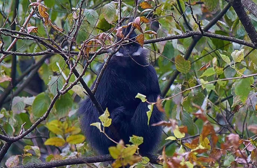 ���~�����ؑc���ɽ���Ҽ���Ȼ���o�^(q��)�����ֹ��D