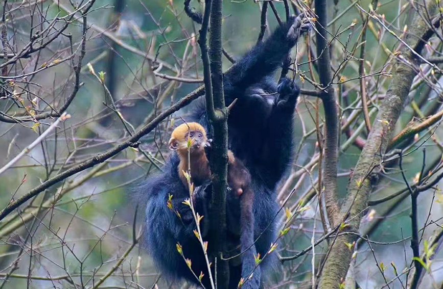 ���~��ؑc���ɽ���Ҽ���Ȼ���o(h��)�^(q��)�����ֹ��D