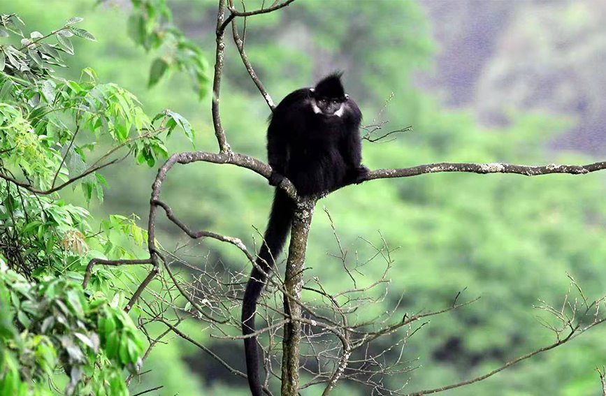 ���~��ؑc���ɽ��(gu��)�Ҽ�(j��)��Ȼ���o(h��)�^(q��)�����ֹ��D