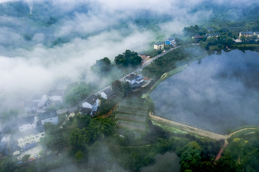 �ؑc�а��υ^(q��)�o���r(n��ng)�����Ŀ�Ƅ��r(n��ng)���˾ӭh(hu��n)���������D���������l(xi��ng)�����υ^(q��)���l(xi��ng)һ�w�l(f��)չ���Ĺ��D