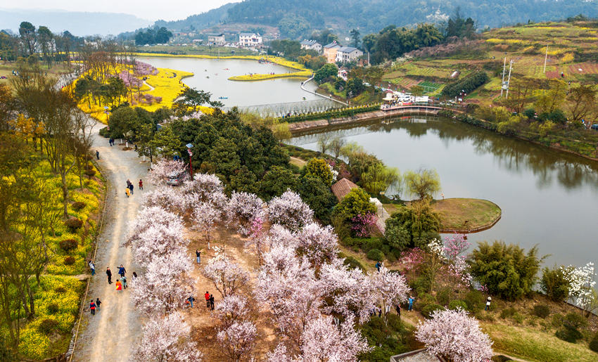 ���υ^(q��)�������l(xi��ng)�����υ^(q��)���l(xi��ng)һ�w�l(f��)չ���Ĺ��D