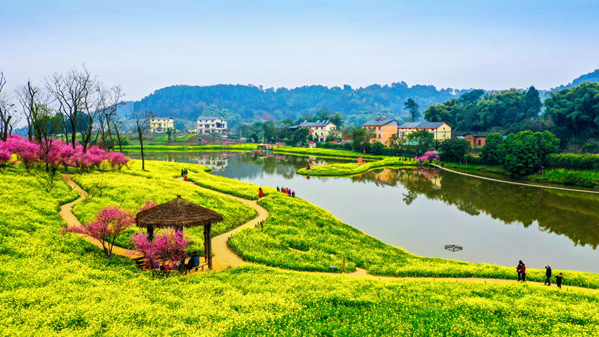 ���υ^(q��)�������l(xi��ng)�����υ^(q��)���l(xi��ng)һ�w�l(f��)չ���Ĺ��D