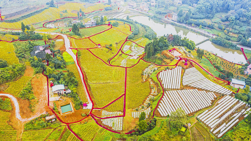 ���ϖ|��Ȫ�(zh��n)�S���ִ������υ^(q��)���l(xi��ng)һ�w�l(f��)չ���Ĺ��D