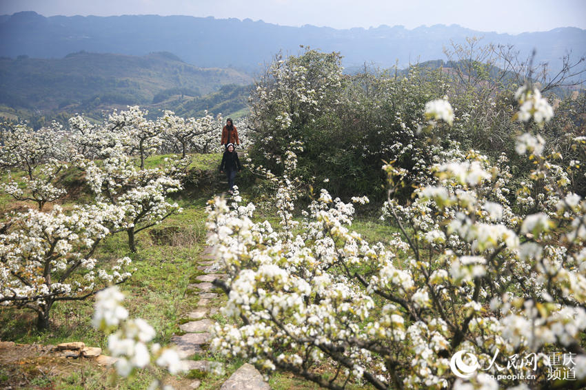 �����������山�����ţƺ���滨����������W(w��ng) �������z