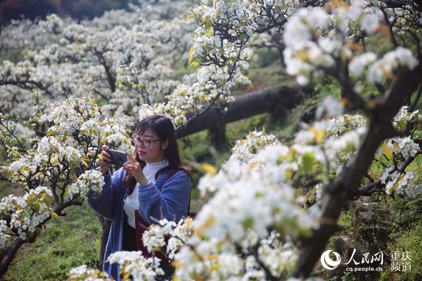 �������山�����ţƺ���滨��������������W(w��ng) �������z