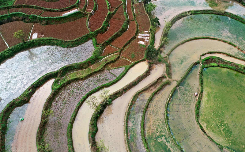 ���ց��R�������r(sh��)��(ji��)���L(f��ng)�����S�Ӕz 