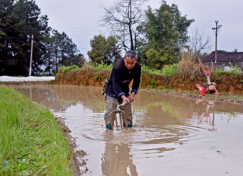 �A���(zh��n)���a�����������S�Ӕz