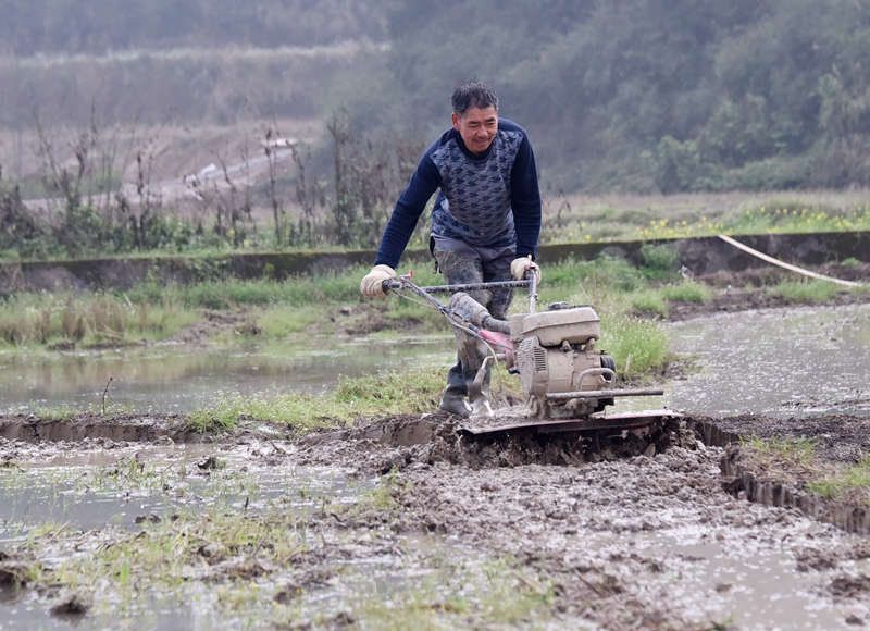 �A���(zh��n)�B�������������S�Ӕz