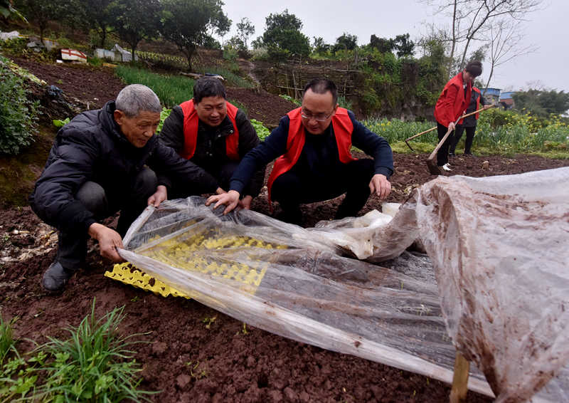 �x���(zh��n)־Ը�����r(n��ng)�����������S�Ӕz