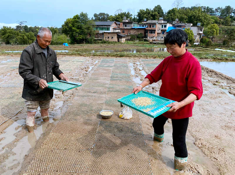 �R���(zh��n)������������������S�Ӕz