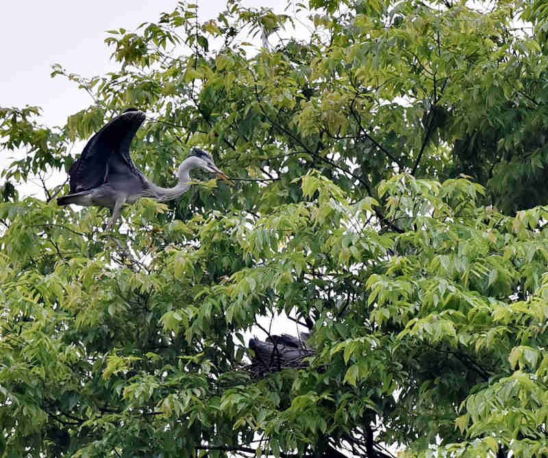 ��Ϣ���B�����S�Ӕz