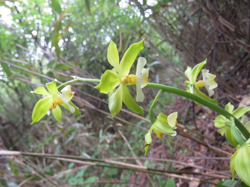 �ؑc�l(f��)�Fֲ������N����������Ϫ�r���m���ؑcꎗl�X���Ҽ���Ȼ���o�^(q��)�����ֹ��D