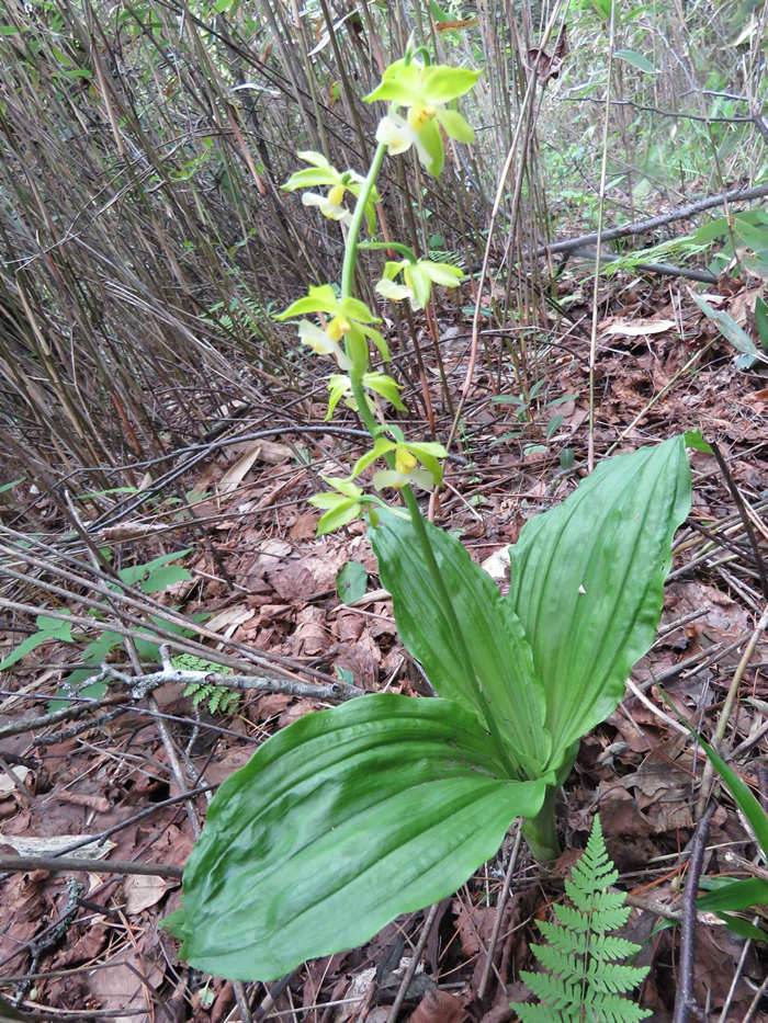 �ؑc�l(f��)�F(xi��n)ֲ������N����������Ϫ�r���m���ؑcꎗl�X���Ҽ�(j��)��Ȼ���o(h��)�^(q��)�����ֹ��D