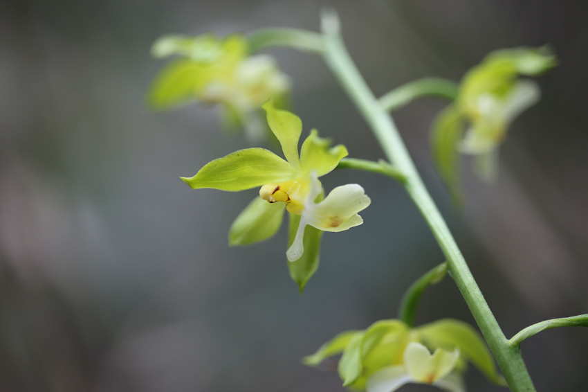 �ؑc�l(f��)�F(xi��n)ֲ������N����������Ϫ�r���m���ؑcꎗl�X���Ҽ���Ȼ���o(h��)�^(q��)�����ֹ��D