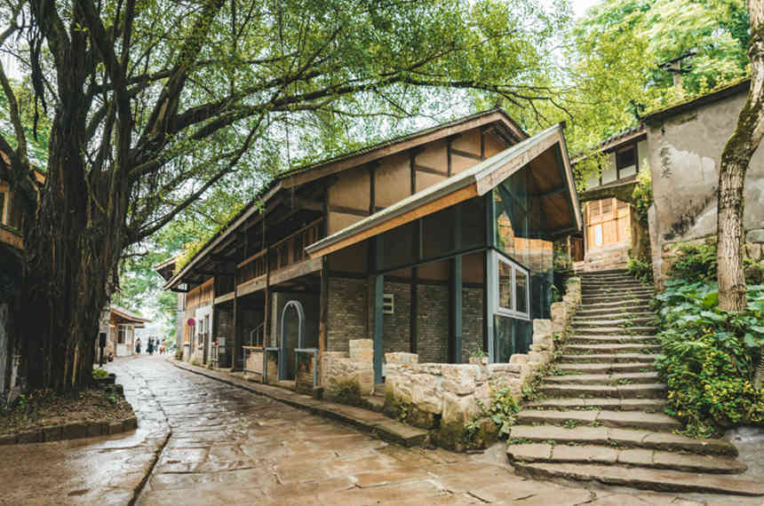 �������vʷ�Ļ��օ^(q��)�L(f��ng)�⡣�����ؔz