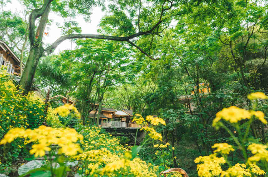 �������vʷ�Ļ��օ^(q��)�L(f��ng)����������?c��i)z