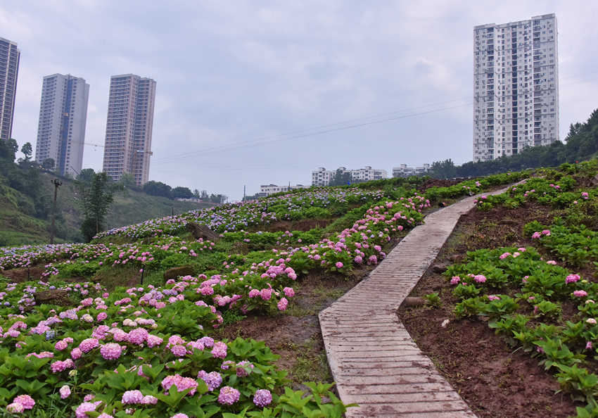 �C�򻨵ȴ��ο��^�p���S�Ӕz