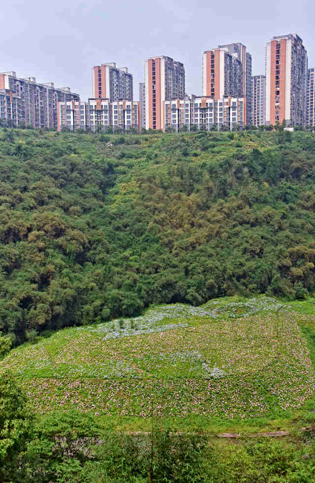 �C���c(di��n)�Y�ڲ�ƺ�����S�Ӕz