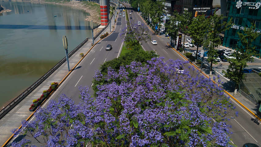 ���I·�����{�����ʢ�_���ֺ��z